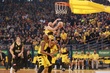 #807807