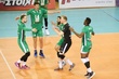#808030