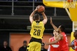 #818506